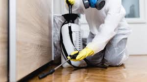 Best Indoor Pest Control  in Suffern, NY